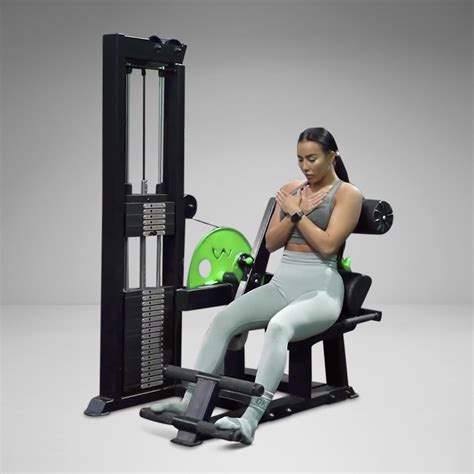 Seated Back Extension Machine