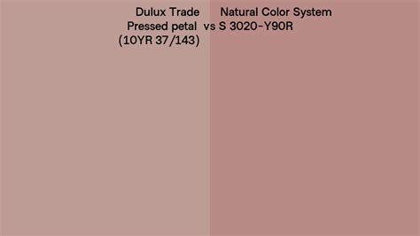 Dulux Trade Pressed Petal 10YR 37 143 Vs Natural Color System S 3020