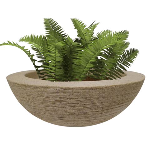 Vaso Decorativo Para Plantas Cactos E Suculentas Bacia Grafiato Em