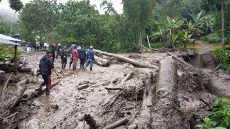 Banjir Bandang Hanyutkan Rumah Warga Di Paniai Papua Tribunnews