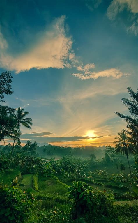 Morning Vibes | Pemandangan, Ruang estetika, Estetika