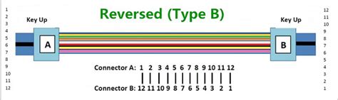 Detailed Explanation Of The Wiring Method Of Mpo Mtp Fiber Patch Cable