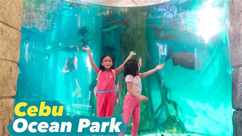 Cebu Ocean Park The Biggest Oceanarium In The Philippines Youtube