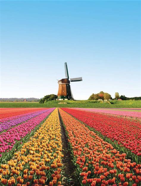 Keukenhof gardens netherlands – Artofit