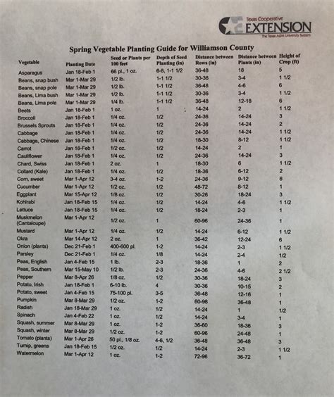 Spring Vegetable Planting Guide For Williamson County Texas