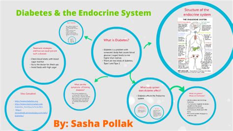 Diabetes And The Endocrine System By Sasha Pollak On Prezi