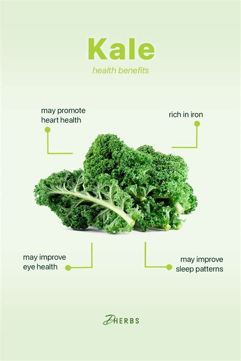 Kale Vs Spinach Which Super Green Is More Nutritious Kale Benefits