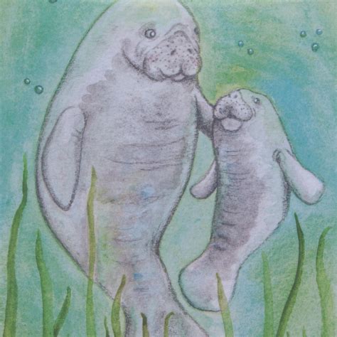 Manatee Card