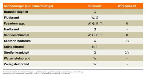 Beizung Getreide Saatgut Beratung Kws Saat Se Co Kgaa