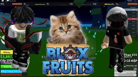 Blox Fruits đi Săn Bounty Cùng Fan Lên 13m Roblox Bloxfruit Youtube