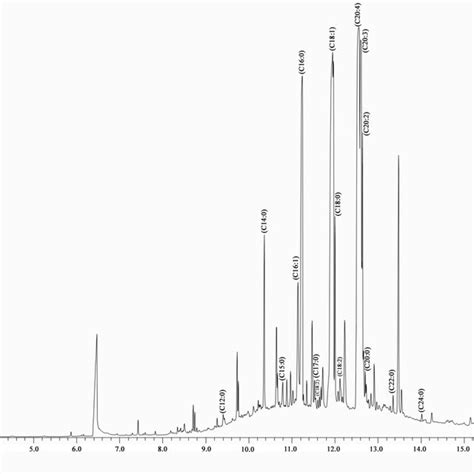 Gc Ms Chromatograph Of Fatty Acids And Other Phytochemical Constituents