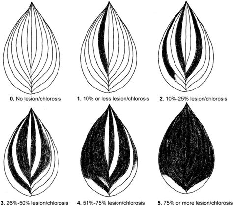 Rating Chart Of Symptom Severity On Hosta Caused By Foliar Nematode