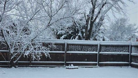 GALLERY: Snowfall in Panhandle, northern Oklahoma