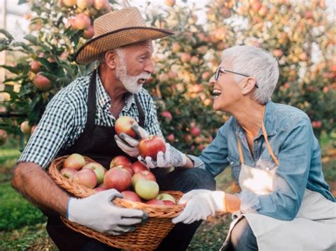 X Smullen Van Seizoensgroenten En Fruit In September Libelle