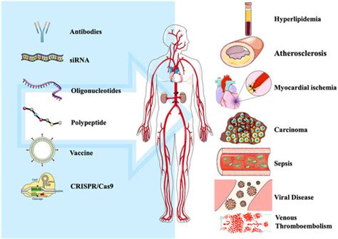 Cells Free Full Text Pcsk9 Inhibition From Current Advances To