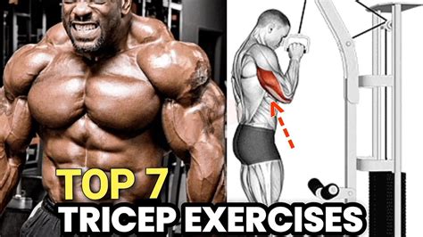 Top 7 Tricep Exercises To Build And Big Tricep Youtube