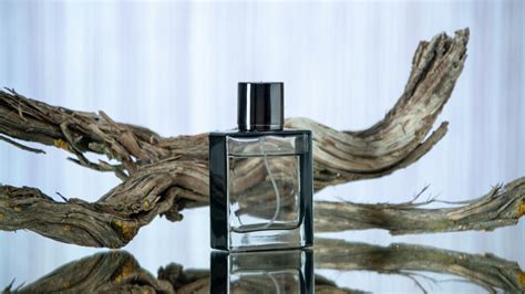 The Ultimate Guide To Oud Perfumes Everything You Need To Know Iperfumo