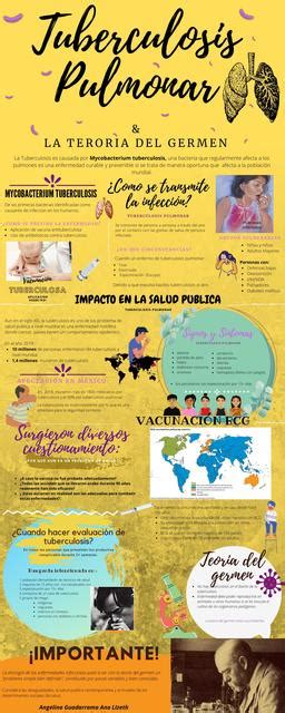 INFOGRAFÍA de tuberculosis Pulmonar y su epidemiología Lizeth