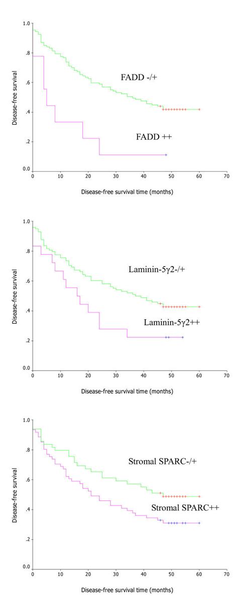 Representative Survival Curves Of Escc Kaplan Meier Survival Curves Of