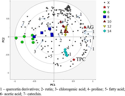 The Biplot Obtained From Pls Describing The Variations Between The Download Scientific Diagram