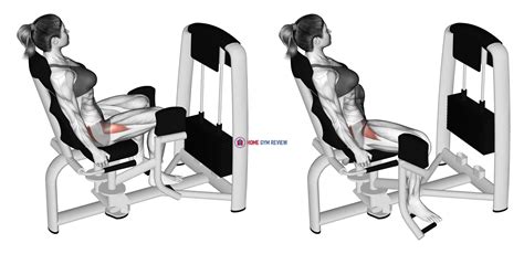 Lever Seated Hip Abduction Female Home Gym Review