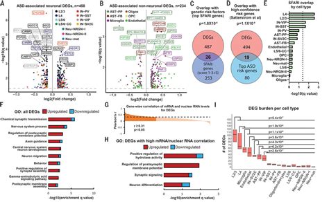 Single Cell Genomics Identifies Cell Typespecific Molecular Changes In