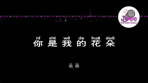 Pinyin Karaoke Version Instrumental Music Ok Ktv With