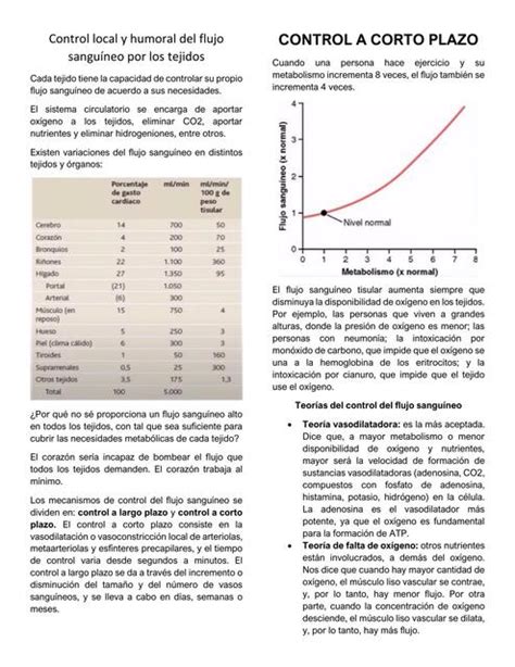 Control Local y Humoral del Flujo Sanguíneo por los Tejidos Keithy