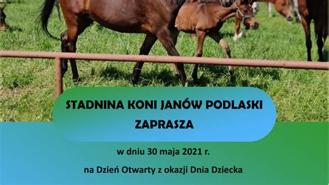 Dzie Otwarty W Stadninie Koni W Janowie Podlaskim