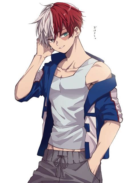 Pin By Azizah BlackNoir On Todoroki Shoto Cute Anime Guys Manga Cute