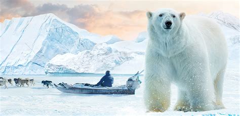 arctic  frozen planet canadian museum  history