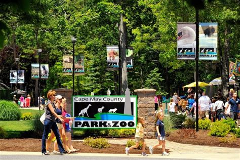 Cape May County Zoo ranked 13th best in the world | PhillyVoice