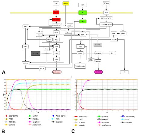 Label The Schematic Of The Autoclave With The Correct Descri