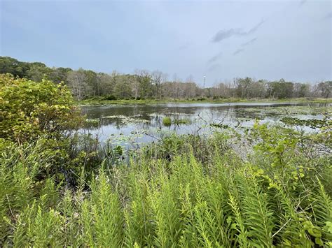 Presque Isle State Park Erie PA Todd Van Hoosear Flickr