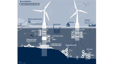 Marine ecosystem meets the marine industry by Annecken Nøland on Prezi