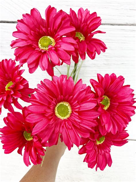 Hot Pink Paris Daisy Bush Keleas Florals