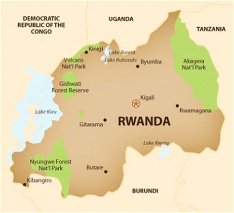 Gorilla trekking: DR Congo vs. Rwanda - Africa Geographic