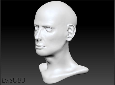 Modelo 3d Base De Cabeza Masculina Modelo TurboSquid 1164004