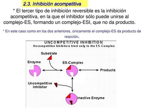 Ppt Tema 15 InhibiciÓn EnzimÁtica I Powerpoint Presentation Free