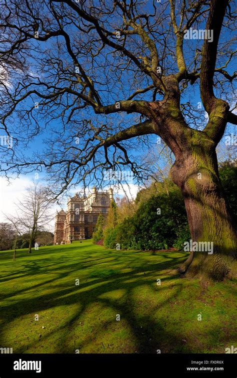 Wollaton Hall Wollaton Park Nottingham England UK Stock Photo - Alamy