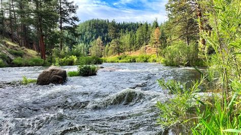 Raging River Dry Dropper Streamer And Tenkara Fly Fishing In