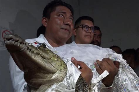 Heboh Wali Kota Rela Nikahi Buaya Betina Hingga Beri Kecupan Mesra