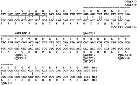 Comparison Of The Rifampin Resistance Regions Of Rpob In B Subtilis