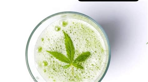 What Is Bhang Cannabis Infused Beverage The Highest Critic