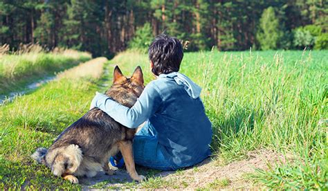 Cu Les Son Los Beneficios De Tener Una Mascota