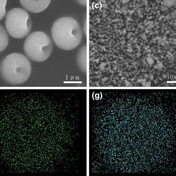 A Low Magnification And B High Magnification Fe Sem Images Of The