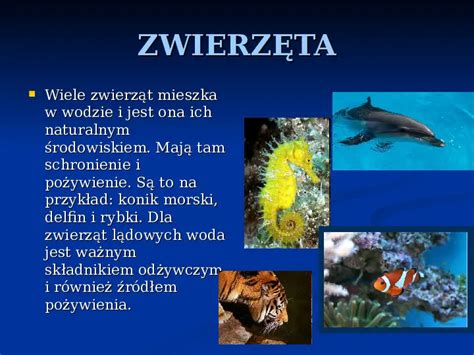 Prezentacja woda źródłem życia Świat prezentacji