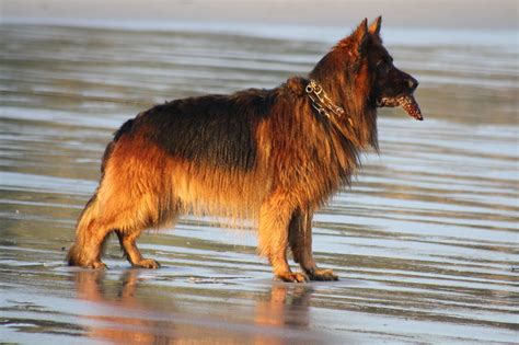 Wandern N Vez Tr Gunc Der Plage De Kersidan Tour