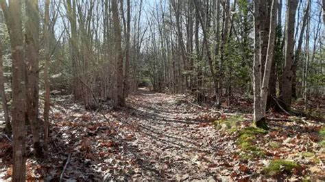 Best Hikes And Trails In Yarmouth Alltrails