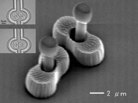 Assembly Configurations Of Microstructures Fabricated By TPP